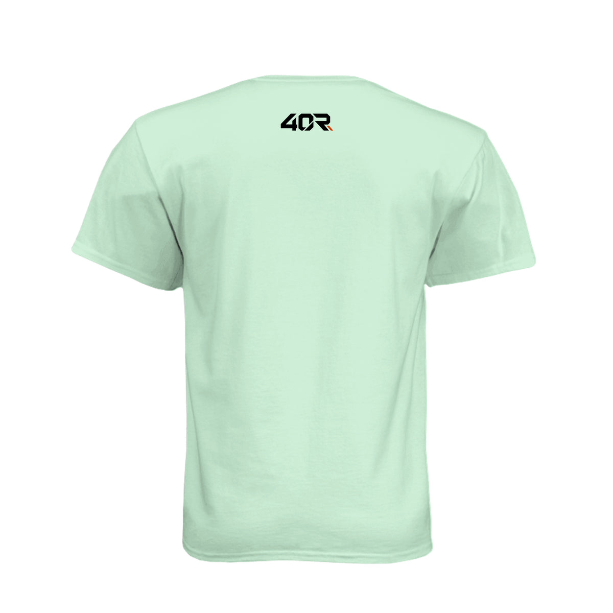Your Effort Is Changing You — Men’s Mirrored Tee · Mint · Back