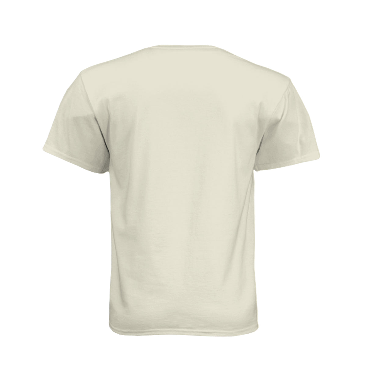 FORTY ROUNDS — Smeared Skull Flag Tee · Sand · Back