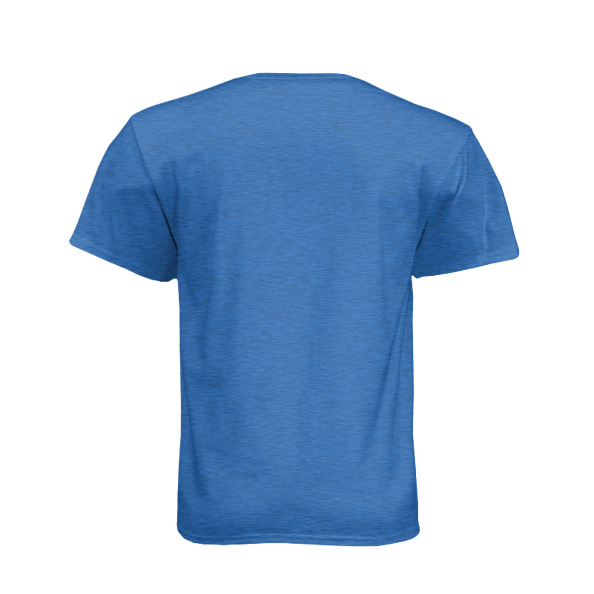 FORTY ROUNDS — Smeared Skull Flag Tee · Heather Cool Blue · Back
