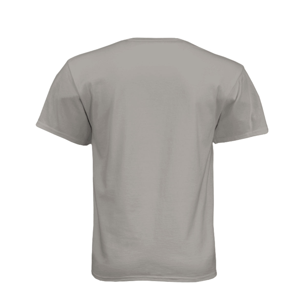 FORTY ROUNDS — Phantom Flag Front-Only Tee · Stone Grey · Back