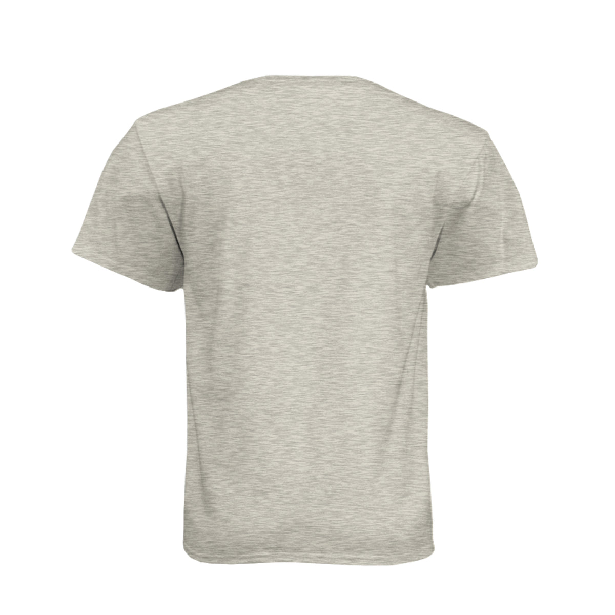 FORTY ROUNDS — Phantom Flag Front-Only Tee · Heather Tan · Back