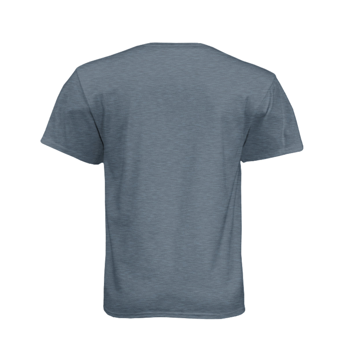 FORTY ROUNDS — Phantom Flag Front-Only Tee · Heather Slate Blue · Back